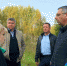 Благоустройство Советской.jpg - Газета Волоколамский край