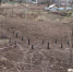 Плотина1.jpg - Газета Волоколамский край