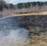 IMG-20220501-WA0013 (1).jpg - Газета Волоколамский край