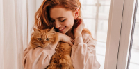 Как коты помогают справляться со стрессом, рассказала ветеринар из Волоколамска - Regions.Ru