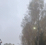 Коммунальщики починили уличный фонарь в Нелидове - Regions.Ru