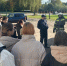 Пожарные продемонстрировали технику и оборудование волоколамским школьникам - Regions.Ru